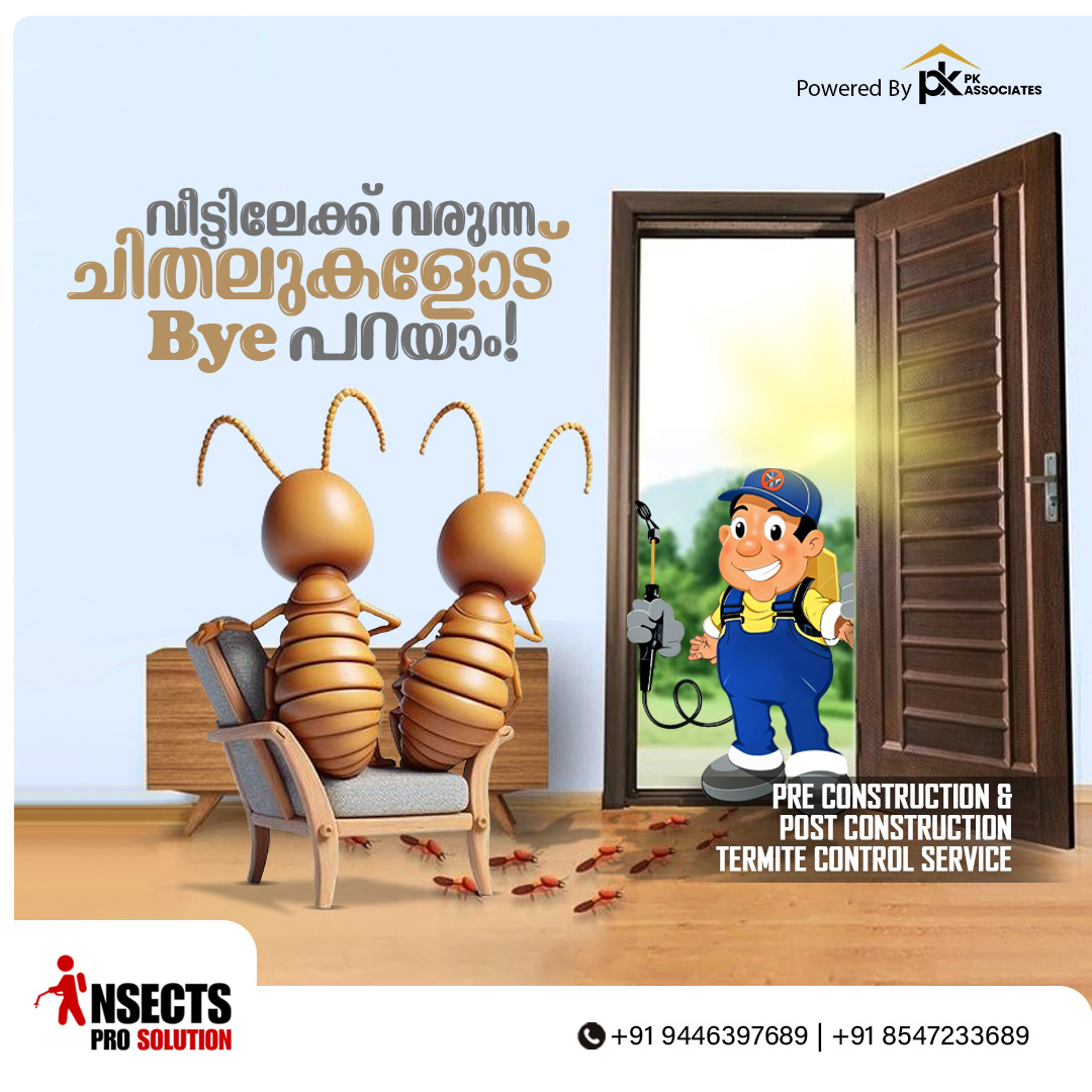 Digital marketing agency in kannur, Texbay marketing